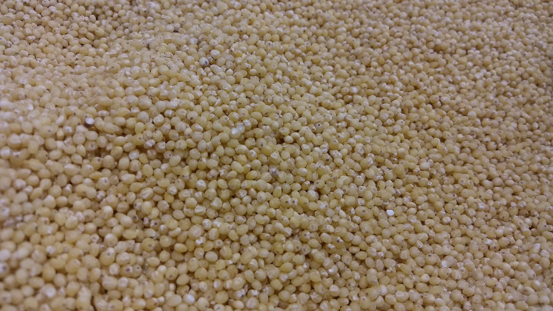 Millets
