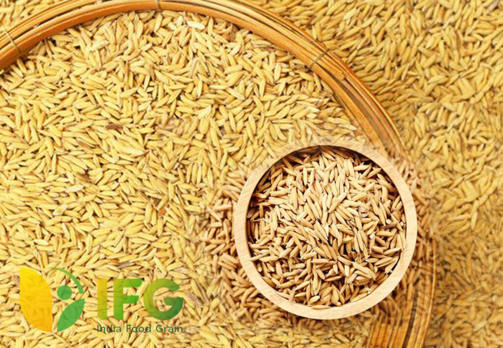 Paddy Seeds