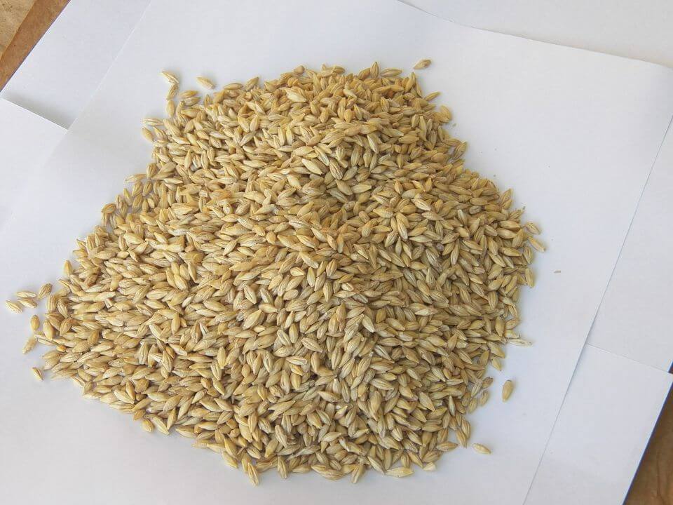 Wholesale trade in Barley