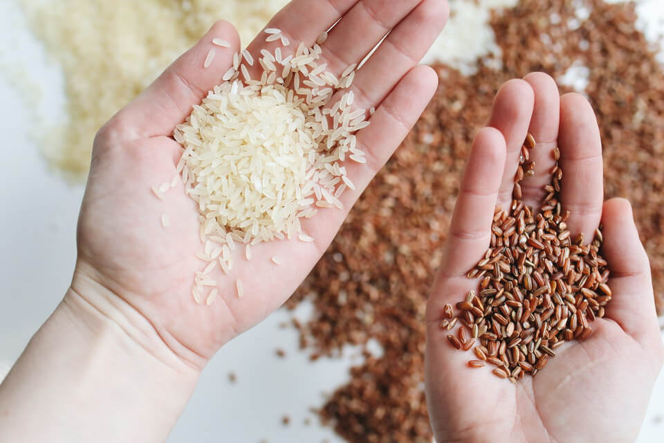 Wholesale trade in Rice