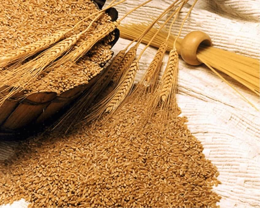 Wholesale trade in Wheat